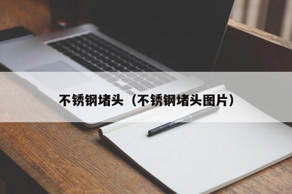 不锈钢堵头（不锈钢堵头图片）